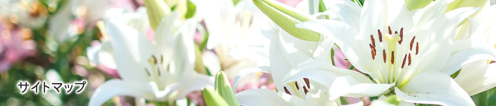サイトマップ